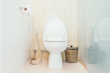 A toilet we recently repaired.